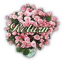 image - flowers - return button
